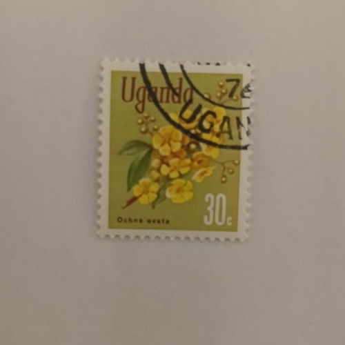 Uganda 30c Stamp Ochna Ovata like new