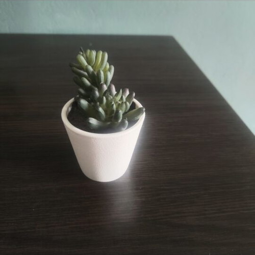 Fake plants like new, set of 2