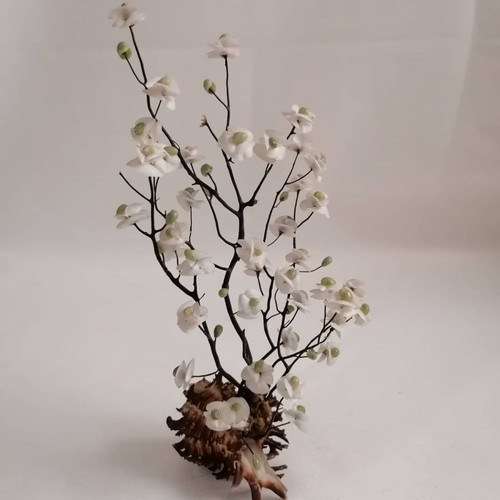Sea shells used, handmade decor of natural sea shells