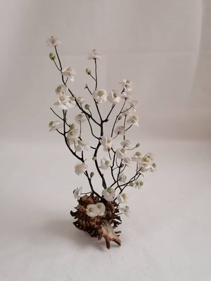 Sea shells used, handmade decor of natural sea shells