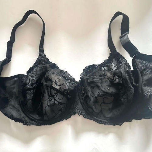 Lise Charmel Antigel bra new, black lace, size 105F