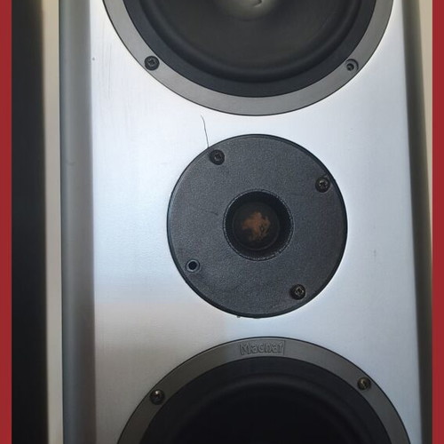 Magnat Vector 55 floor speakers with cosmetic flaws