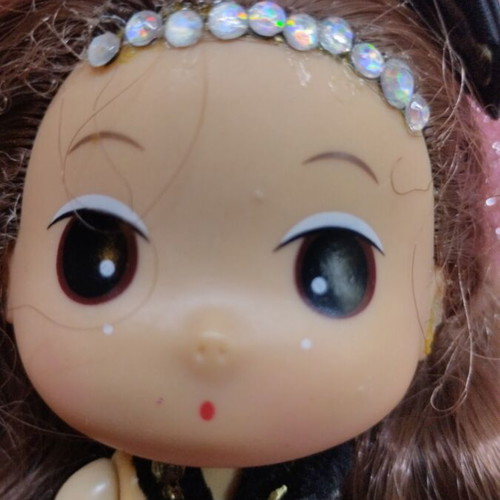 Ddung collectible doll from North Korea like new