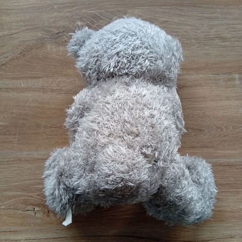 Plush used with ring case