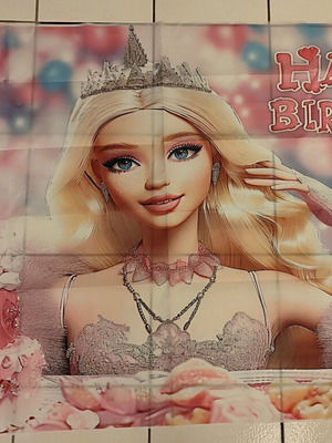Barbie party decoration backdrop like new