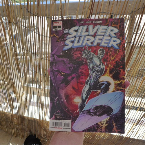 The Silver Surfer (Marvel Masterworks, Volume 15 & 19) Paperback (2010) Limited to 863 & 800 copies