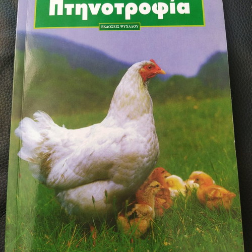 Books of various content like new, pack of three