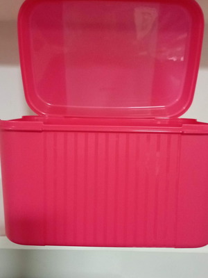 Mega Delis 7.5 Liter Tupperware New for Food and Item Storage