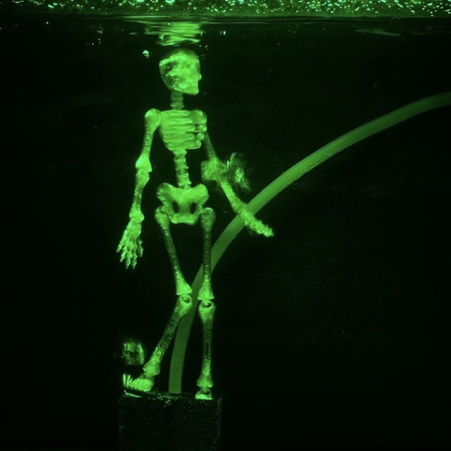 Dancing Skeleton for Aquarium 3D printed, made to order