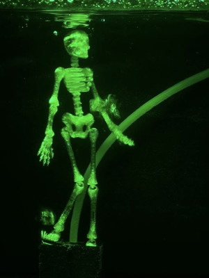 Dancing Skeleton for Aquarium 3D printed, made to order