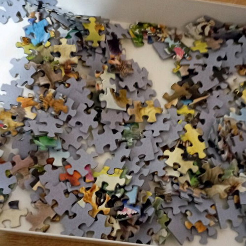 Jungle animals puzzle used, complete