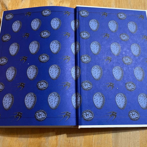 Les œufs d’oiseaux book like new, French bird egg guide