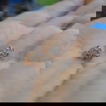  Σκουλαρίκια 14 καρατίων..made in Italy..