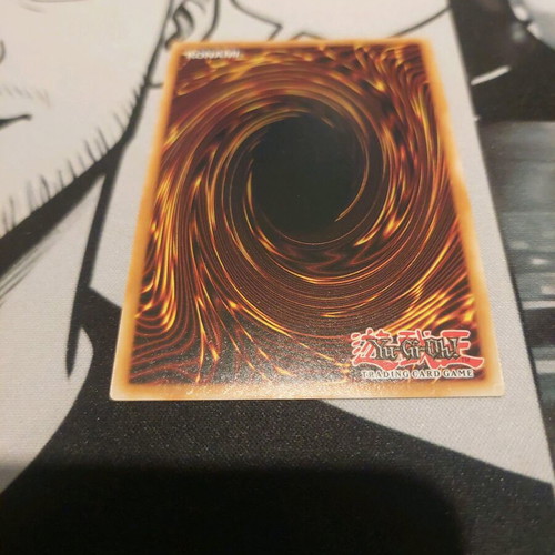 Nirvana High Paladin Yu-Gi-Oh! card used