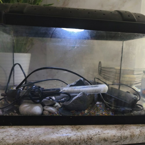 Fish aquarium, 41x20x26 cm