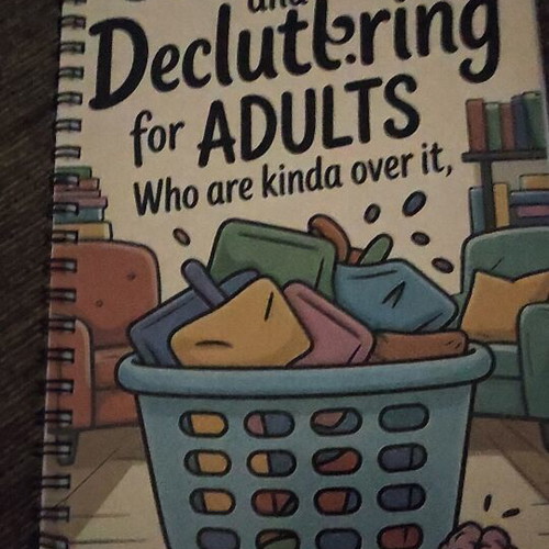 Cleaning and Decluttering Book like new