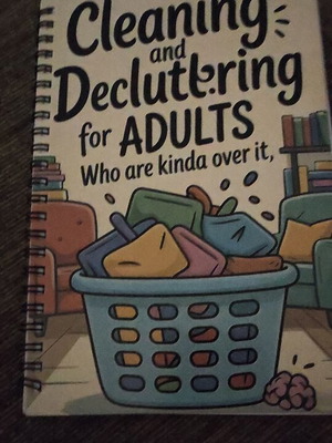 Cleaning and Decluttering Book like new