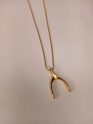Steel necklace new