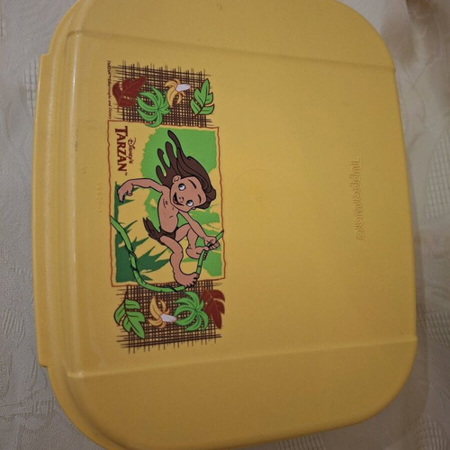 Tarzan lunchbox like new with scenic design