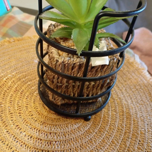 Decorative plant in seaweed new, together