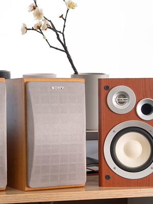 Speakers LG LXS-USS1 and Sony SS-CCP1 like new, 2 sets