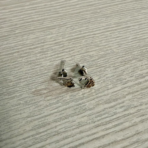 Silver earrings