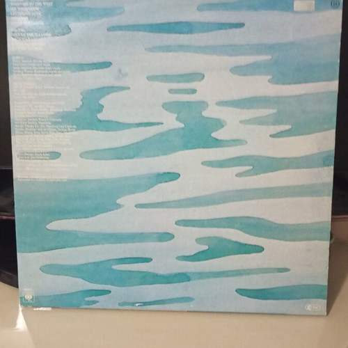 Lake II vinyl record near mint