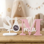Baby decoration pack with stork and personalized name