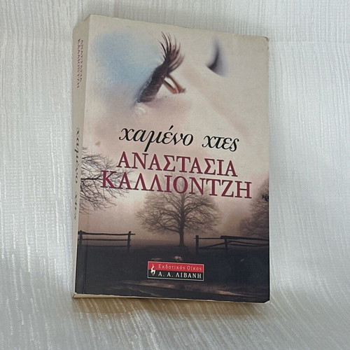 Lost Yesterday novel used