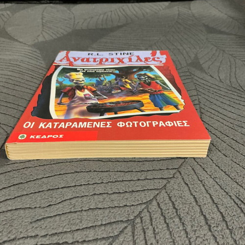 Goosebumps No 4 The Cursed Photos book used