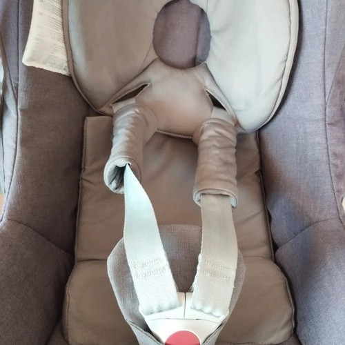 Iglesina Trilogy Quatro baby car seat (egg)