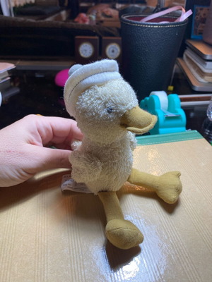 Zara kids home duck cradle toy used with squeaker
