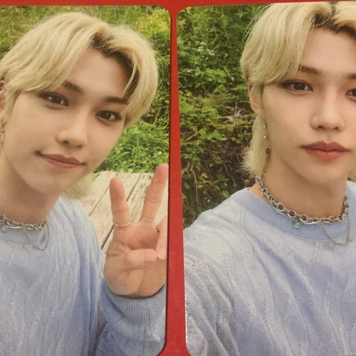 Stray Kids 2022 membership photocards like new