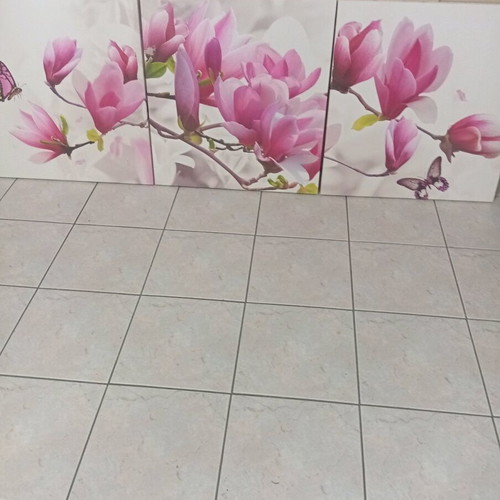 Pink Magnolia Canvas Photo Panel Set of 3
