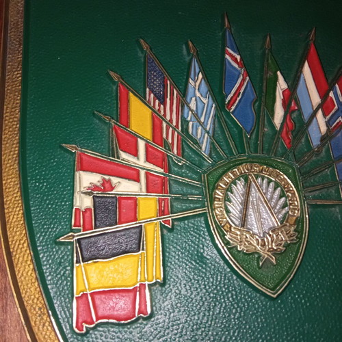 NATO country flags shield used, large