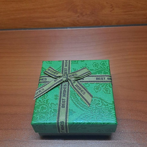 Stainless steel earrings new with CD letters silver
