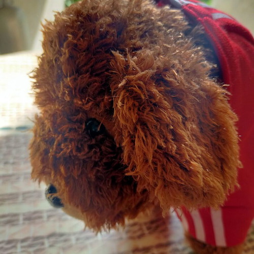 Adidog plush dog toy