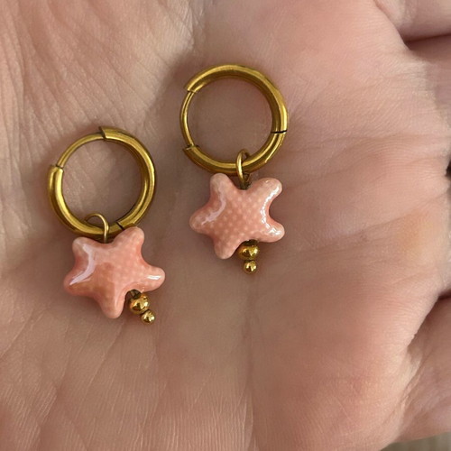 Stainless steel earrings new, color choice
