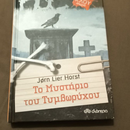 Mystery Teen Book like new, read once