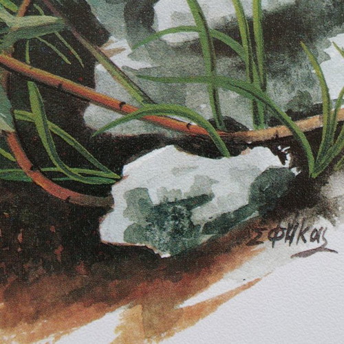 Set of 4 used watercolor reproductions with wildflowers