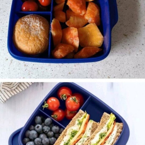 Tupperware children's divided lunch box, assorted colors