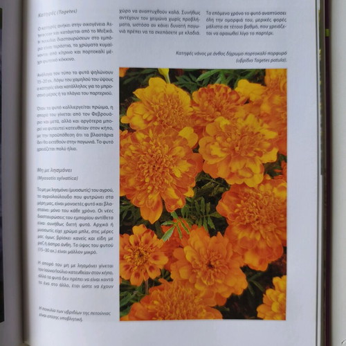 Book Gardening Without Stress like new