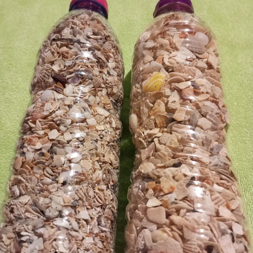 Natural Sea Mix for Crafts and Decoration like new