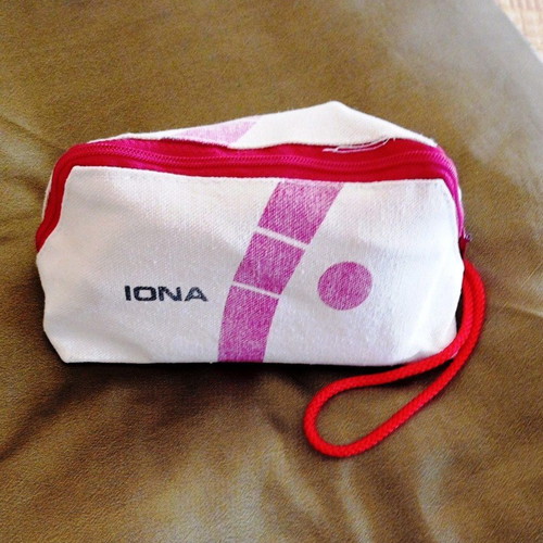 Iona vintage folding travel iron with original case and UK plug