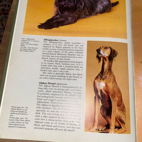Book The Complete Book of Dogs used, dogs, training, care