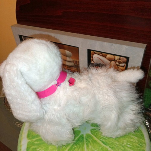 Interactive plush puppy with leash like new