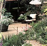  Μικρο-κήποι για την αυλή και τη βεράντα  - John Brookes