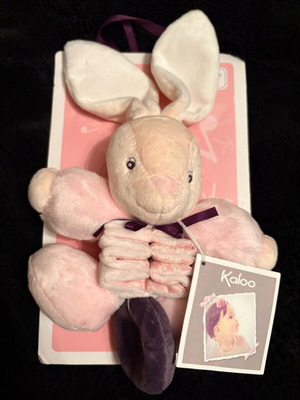 Kazoo Waterproof Music Box My First Music Bunny new