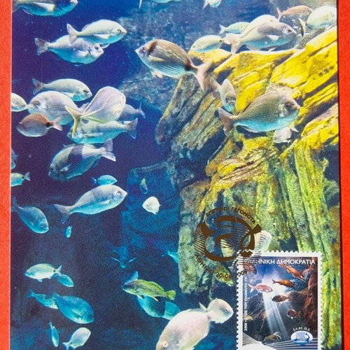 Maximum Cards full set of 7 cards 05/2008 new