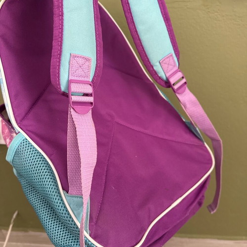 Frozen school backpack used